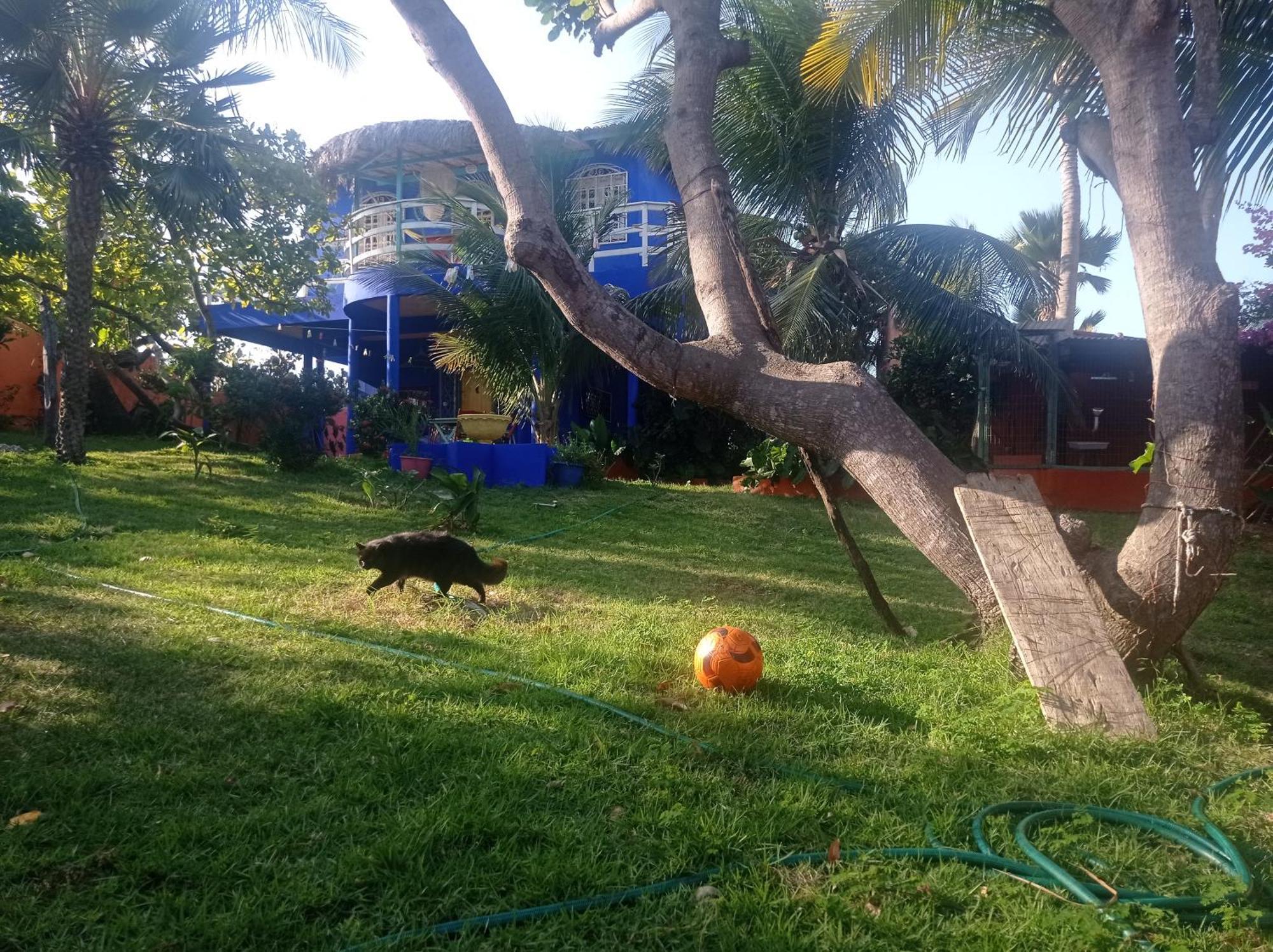 卡诺格布拉达Charming Blue House With Kitchen Parking And Garden别墅 外观 照片